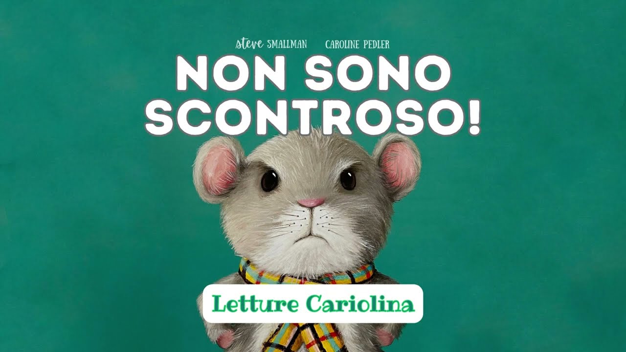 Non sono scontroso! di Steve Smallman