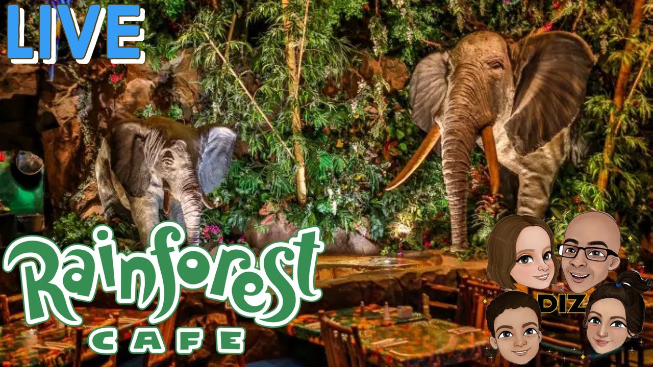 Watch Live: Rainforest Cafe at Disney's Animal Kingdom Live Food & Restraunt Review | 2022