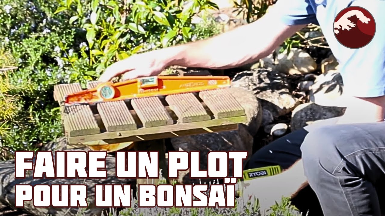Comment Faire un Plot Individuel pour Bonsaï ? 🌱 NEJIKAN BONSAI 🌱