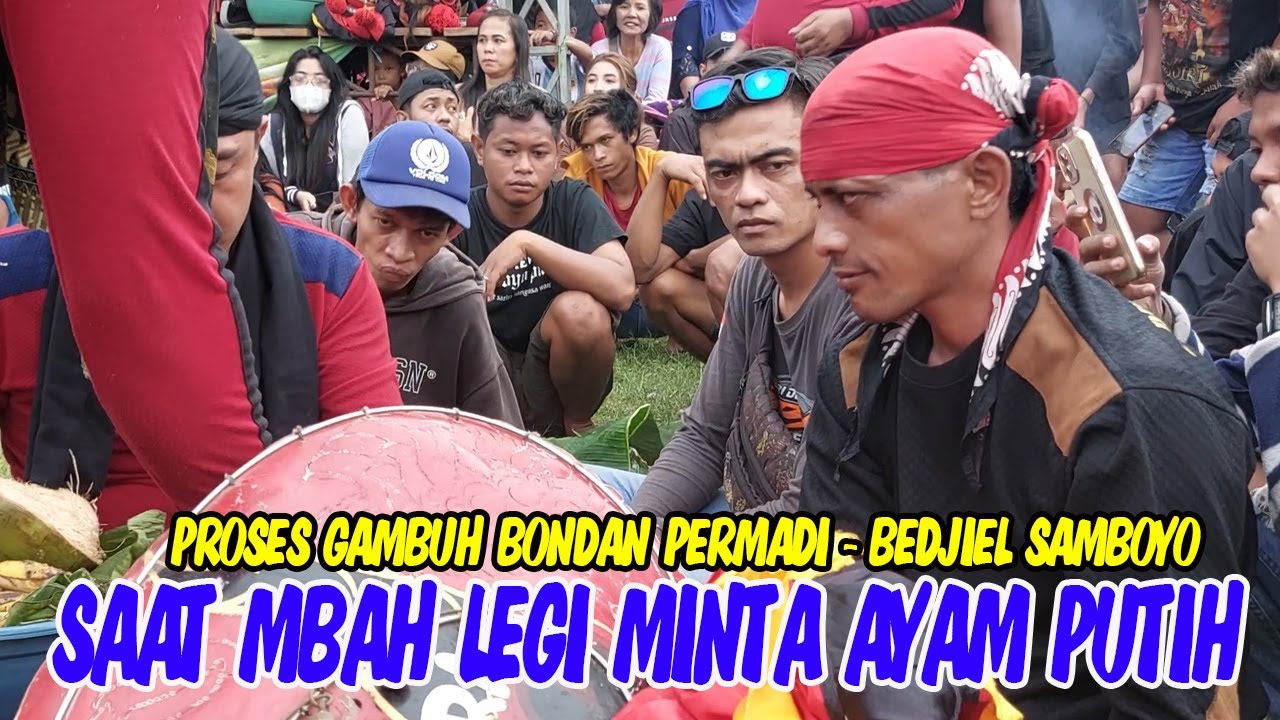 SAAT MBAH LEGI MINTA AYAM PUTIH !!! GAMBUH BONDAN PERMADI - BEDJIEL SAMBOYO PUTRO