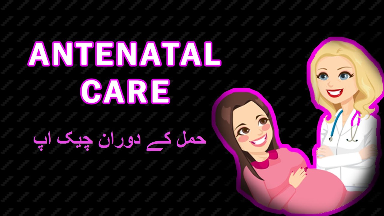 Care during pregnancy | حمل کے دوران چیک اپ