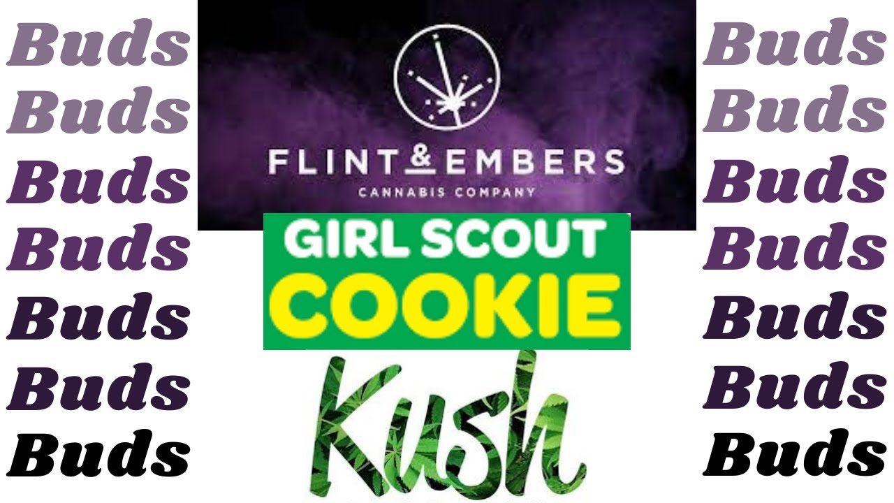 Flint & Embers GSC Kush Buds #Shorts #Weed #Cannabis #Marijuana