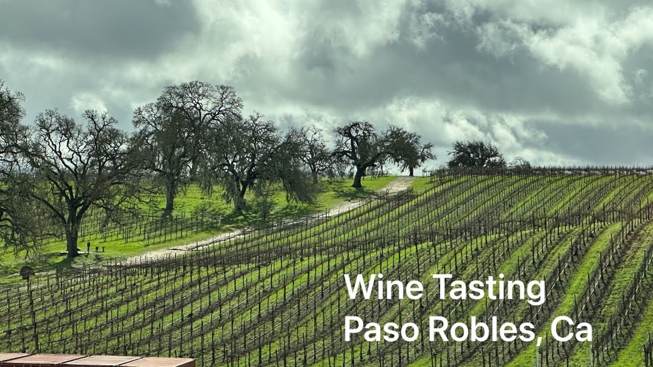 Wine Tasting in Paso Robles, Ca