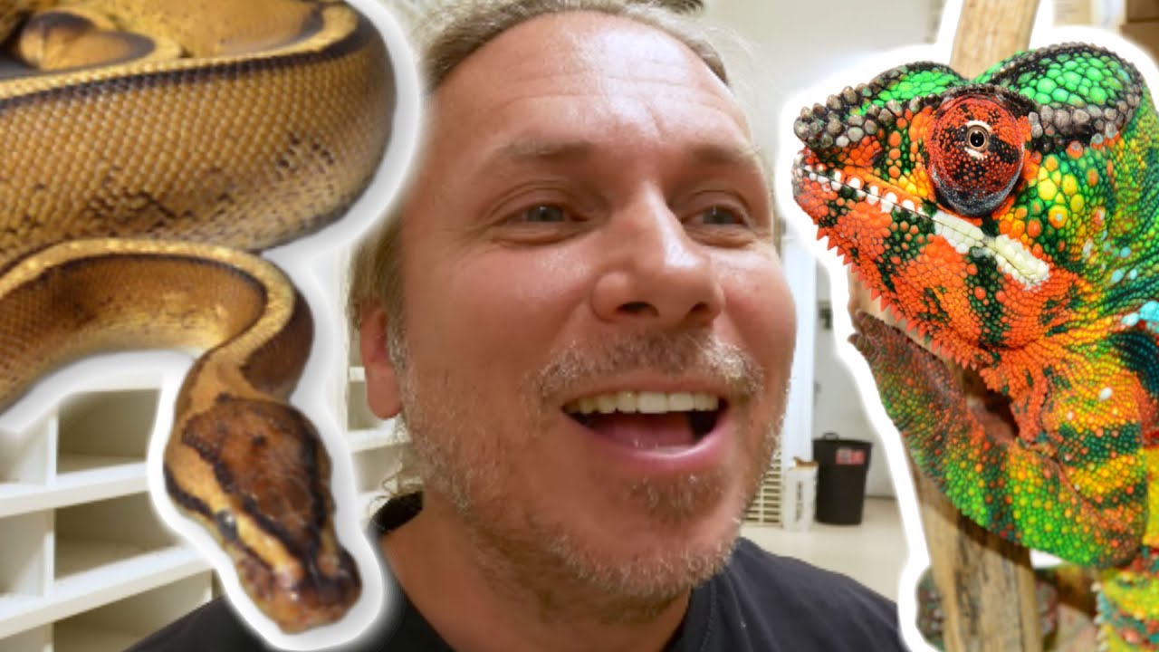 HEADING BACK TO MY REPTILE LAIR!!! | BRIAN BARCZYK