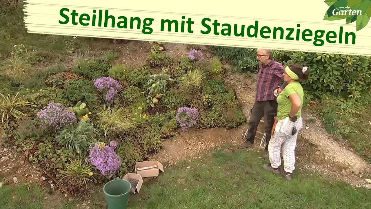 Mit Rollwiese und Staudenmatte zum bl&uuml;henden Hang | MDR Garten | MDR