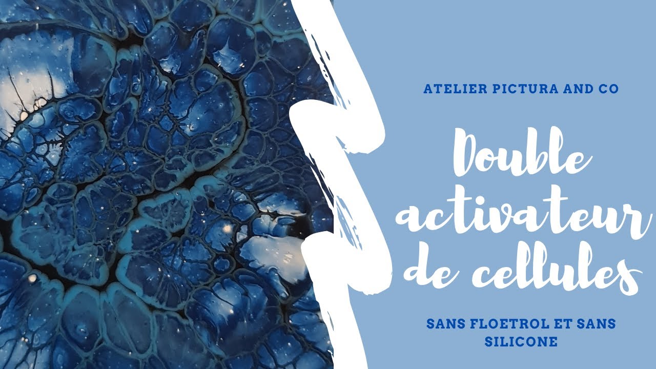 22   Double activateur de cellules noir et blanc par corinne bardou
