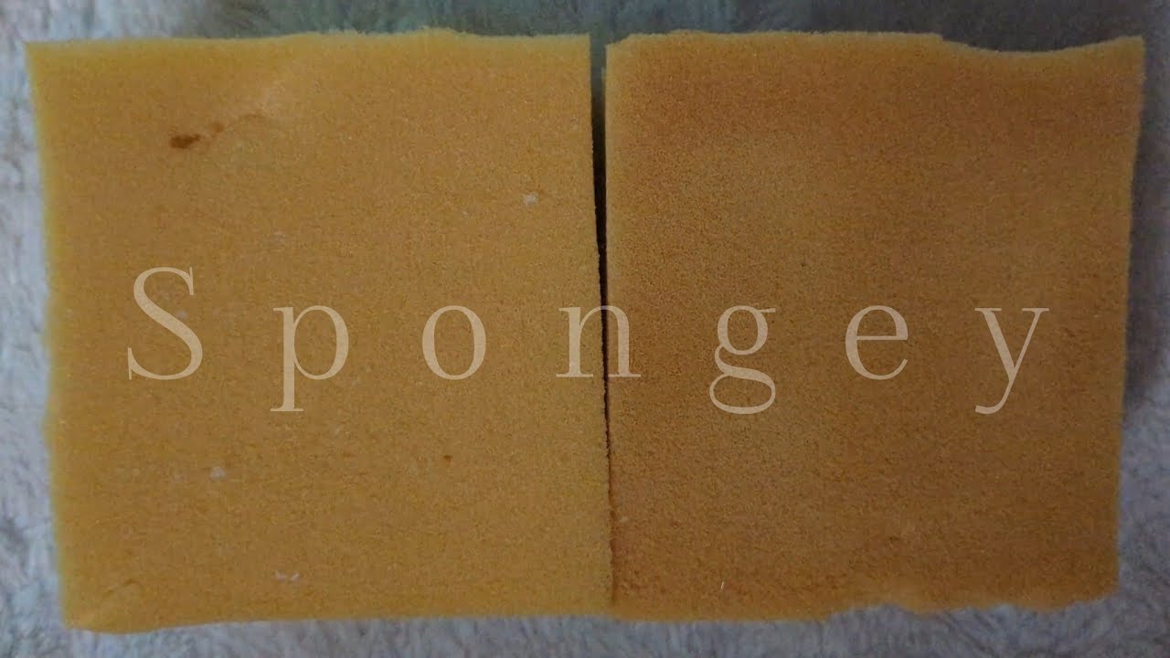 ASMR Sponge 🧽 Jelly Squeezing, Scratching, Ripping Bleached and Non Bleached Foam 🧽 Bleach Week '24