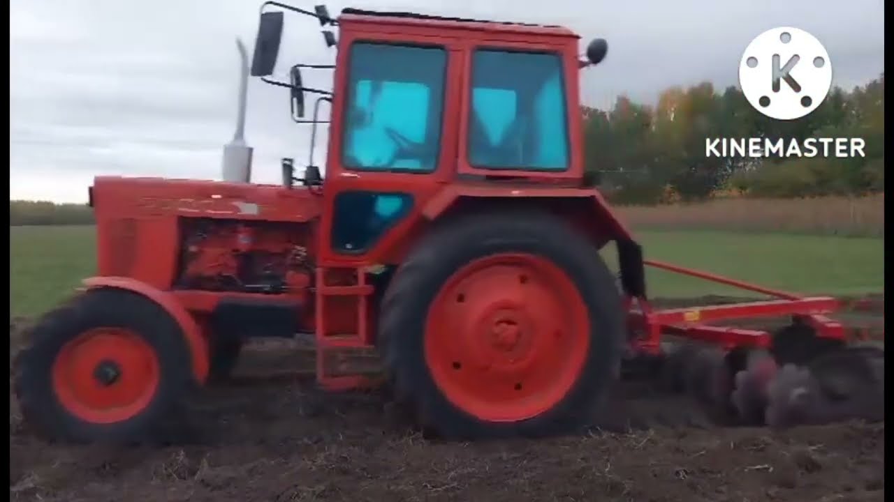 MTZ-550 és 8 leveles kis tárcsa,tárcsázás 5 éve pihentetett szántón./MTZ Agro Vlog./2022.
