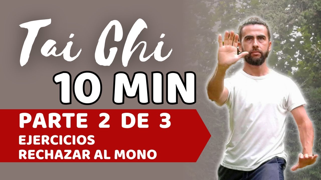 TAICHI RECHAZAR AL MONO 👉 Parte 2 de 3 - DAO NIAN HOU ✨Fortalece tus brazos y cintura