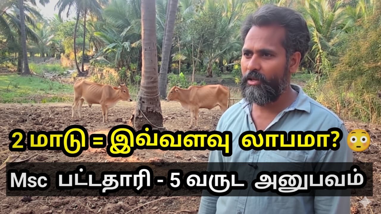 கிராமத்தில் பிசினஸ் தொடங்க ஆசையா? இந்த ஐடியாவை Copy பண்ணுங்க!