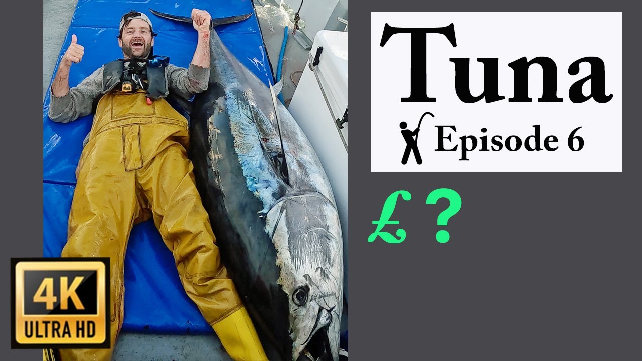 Bluefin Tuna Fishing UK - Commercial + price discussed FH20 BFT E6 2024