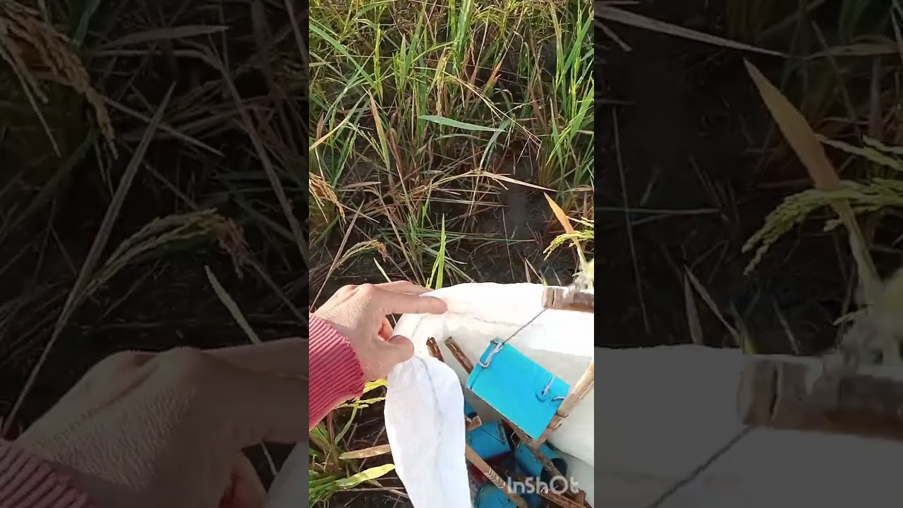 สุดจัด ติดดีจัด