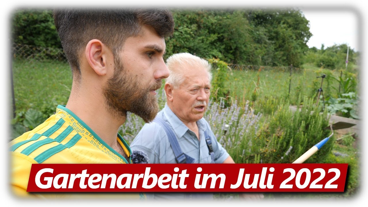 Gartenarbeit Juli 2022 | Tomaten Experiment, Jahresbedarf Knoblauch | Gemüsegarten mit Hochbeeten