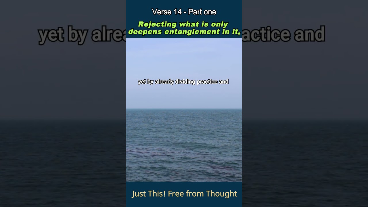Just This! Free from Thought. Verse 14 - Part one #zen #dharmatalks  #faithinmind #koreanbuddhism