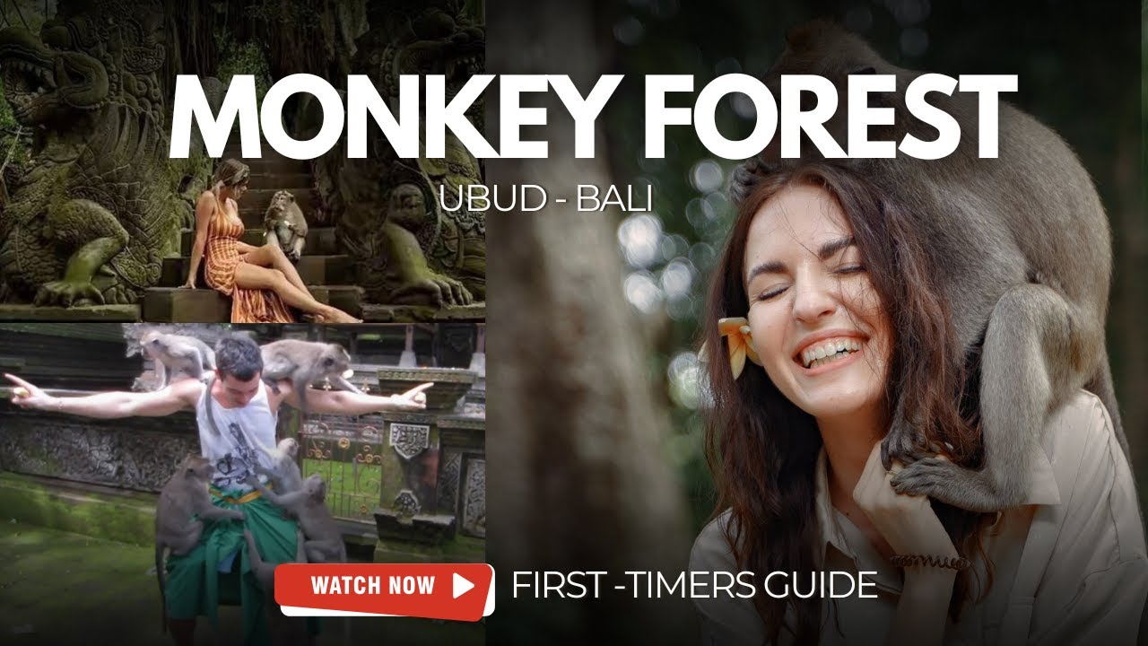 Ubud Monkey Forest Travel Guide for 2025