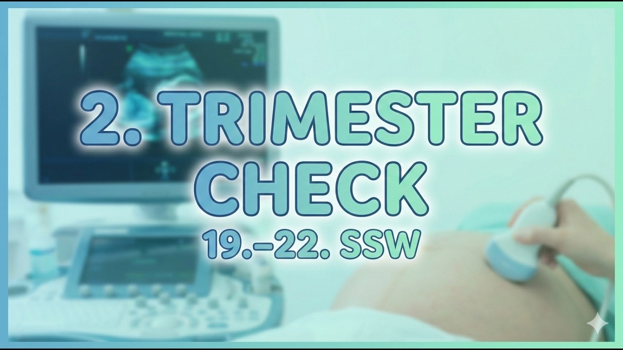 Erweitertes Ultraschallscreening (19.–22. SSW) – Ablauf & Bedeutung erklärt