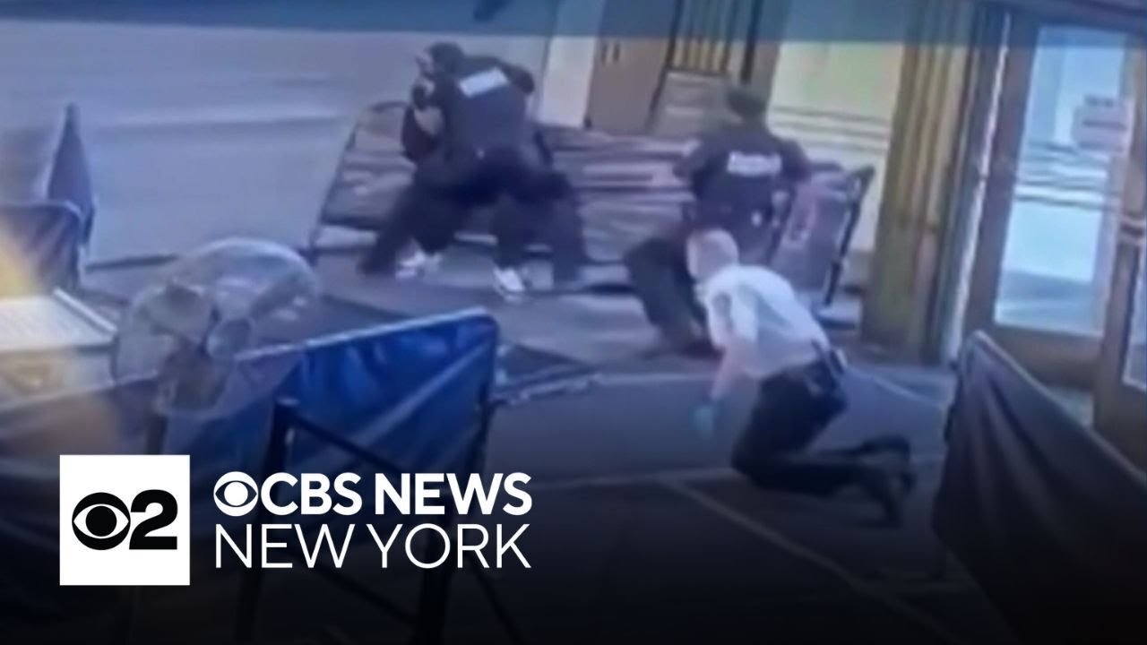 Video shows man attacking Manhattan court officers