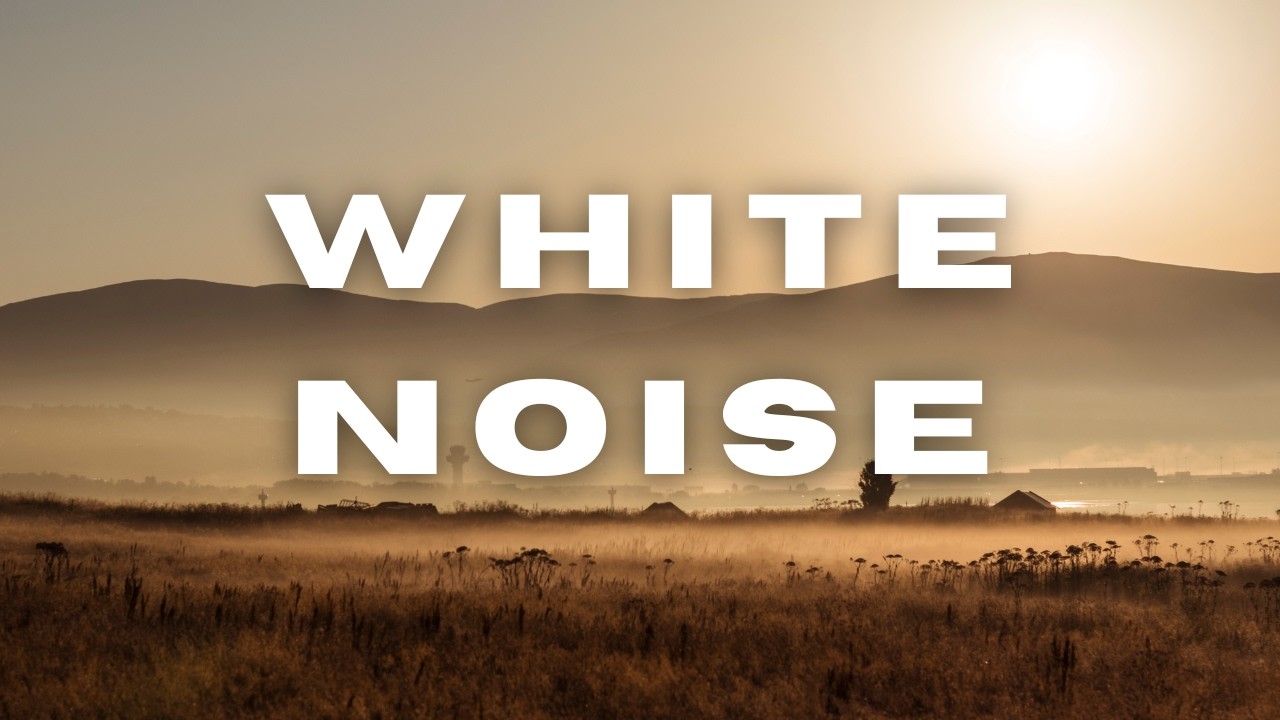 DiliDoor - White Noise
