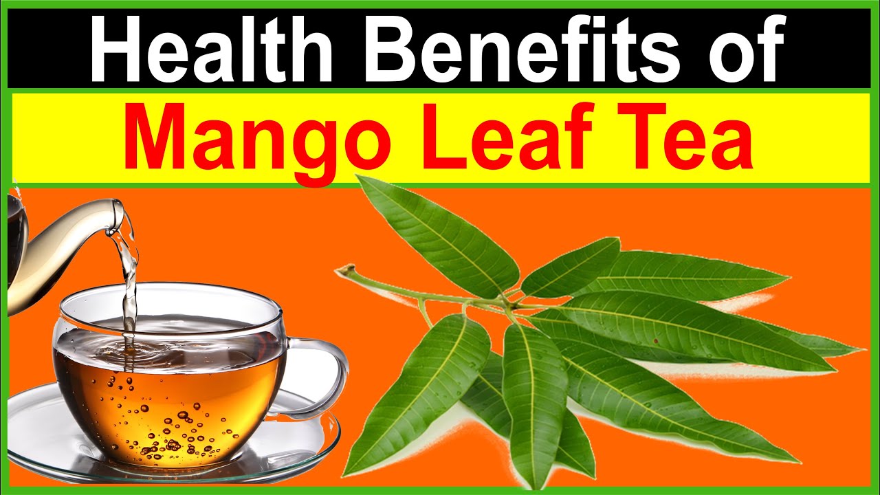 Why You Should Drink Mango Leaf Tea