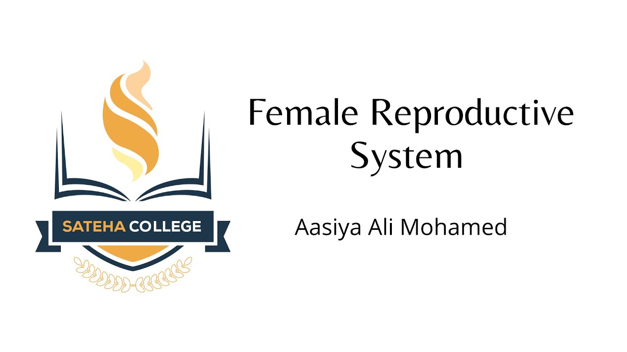 FEMALE REPRODUCTIVE SYSTEM | GRADE 10 | UNIT 14 | LOCAL SYLLABUS