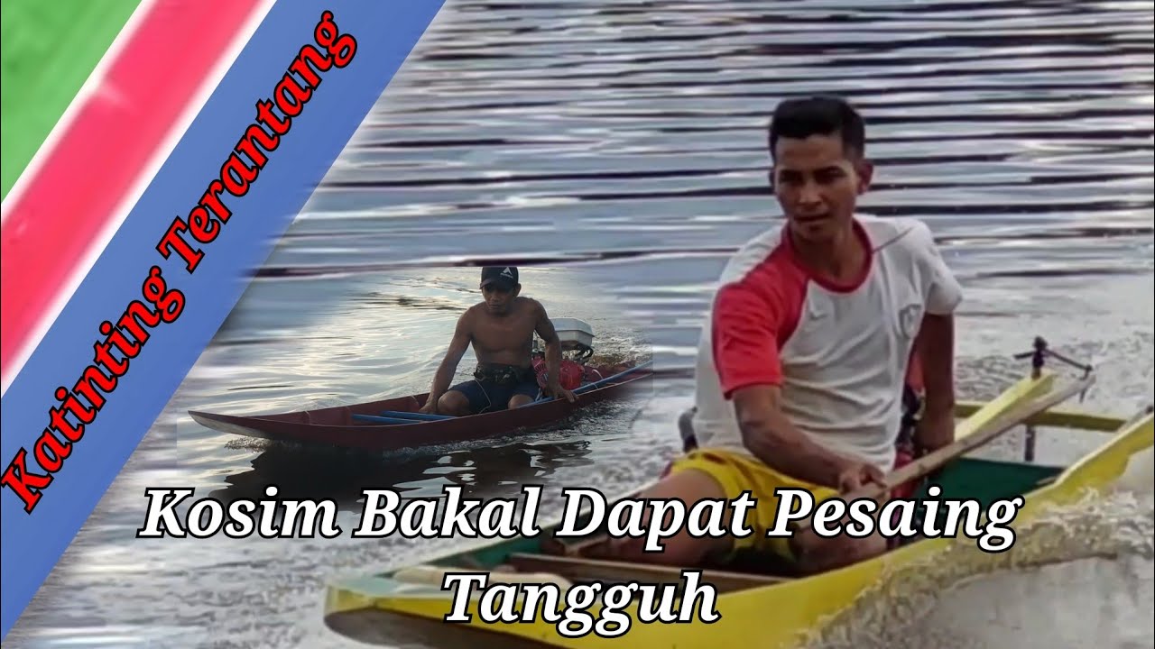 Kandidat Juara Katinting,Kosim dapat Pesaing Tangguh