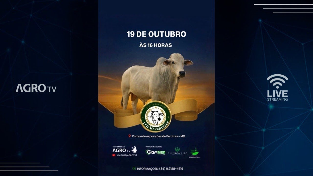LEIL&Atilde;O PERDIZES