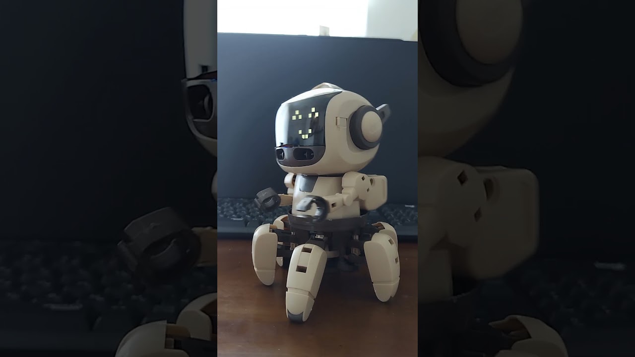 プログラミングフォロ for SPEAK　#robot #robotics #toys