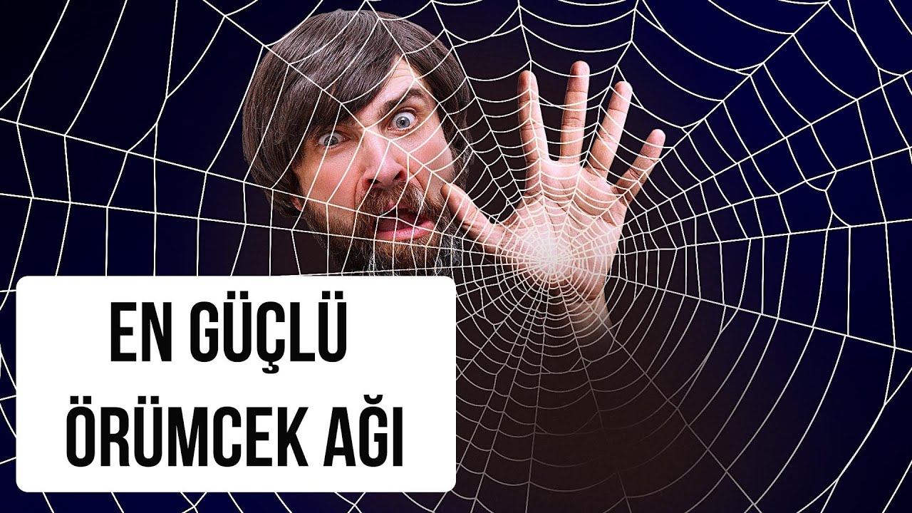 Dünyanın En Büyük Örümcek Ağına Takılırsanız Ne Olur?