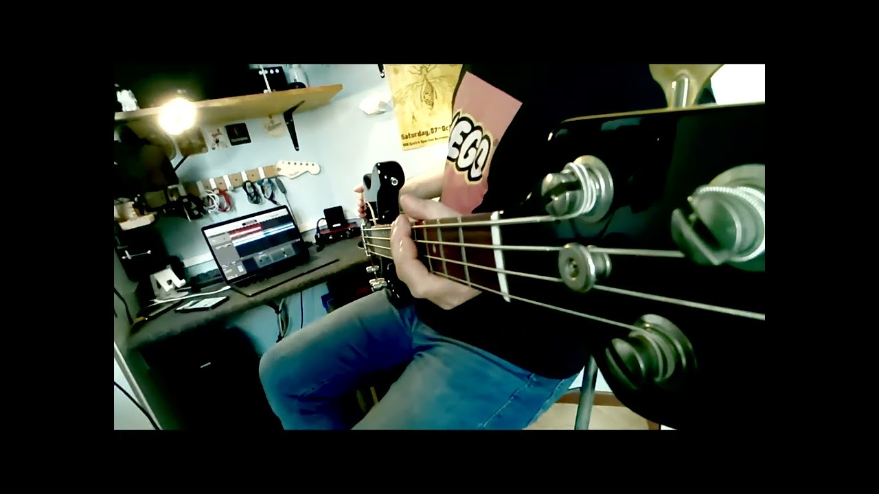Woodpecker from mars/Delilah Live - Faith no more,  bass cover #basscover #faithnomore