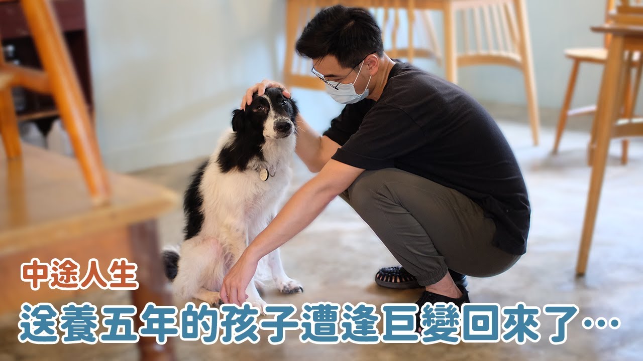 送養五年的孩子遭逢巨變回來了｜中途人生