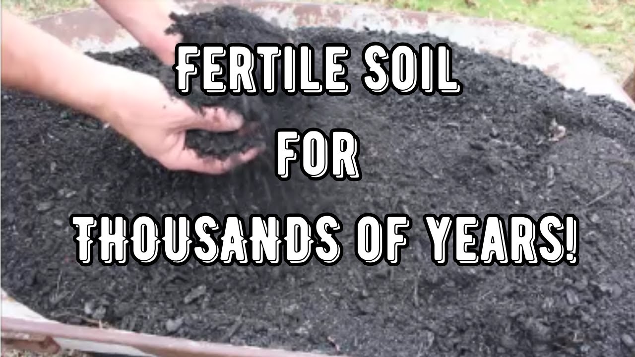 Create Fertile Soil for Centuries with Biochar!
