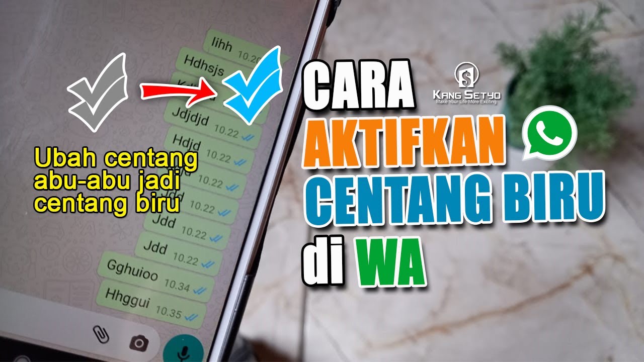 Cara Mengaktifkan Centang Biru di WA
