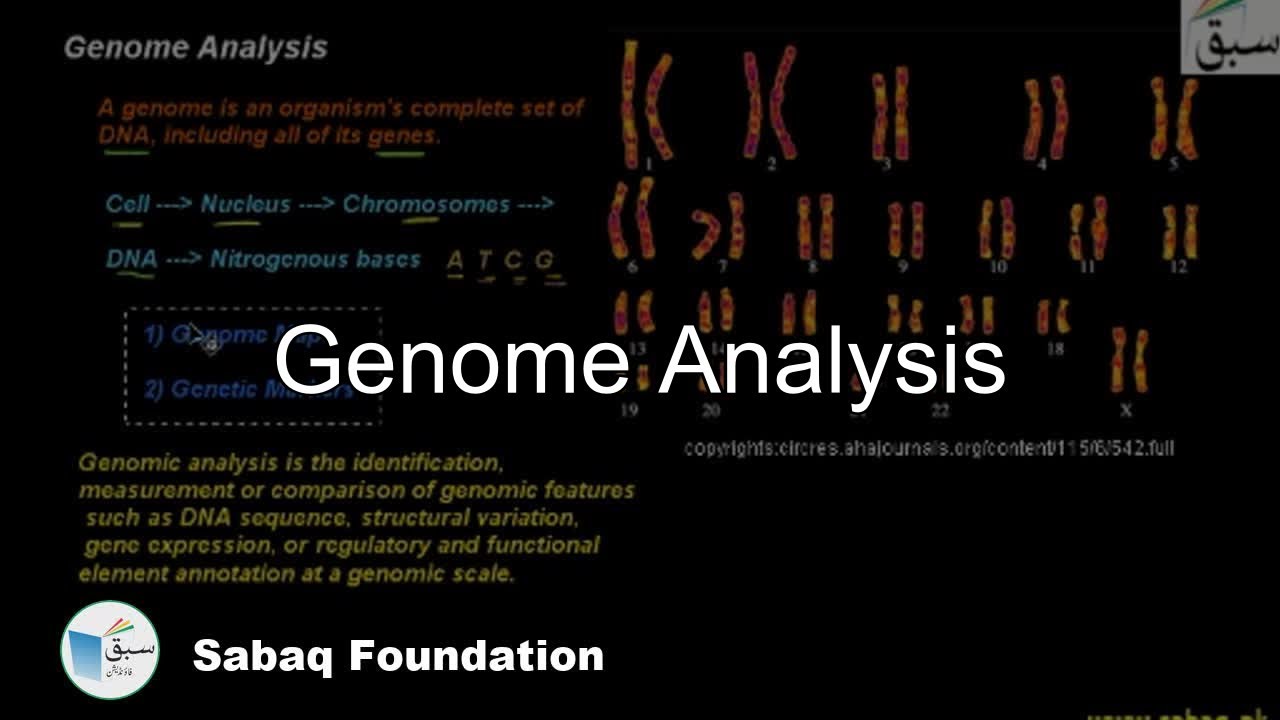 Genome Analysis, Biology Lecture | Sabaq.pk