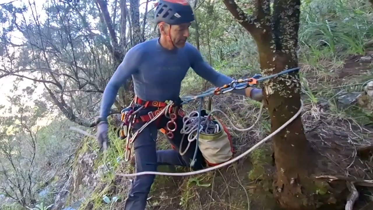 Módulo de intervenciones en barrancos. Anclaje a un árbol