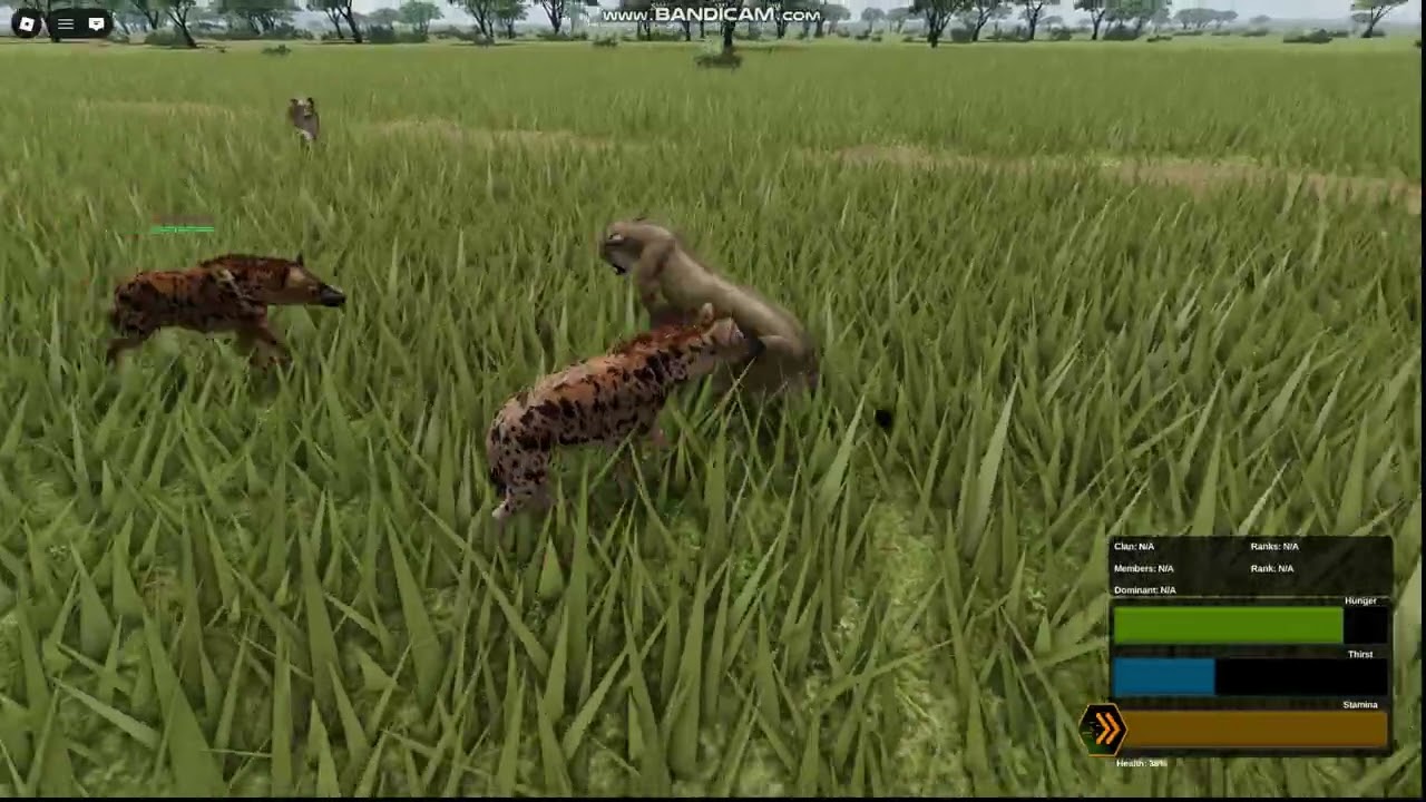 Hyenas Hunting Zebra and Killing Predators | Wild Savannah