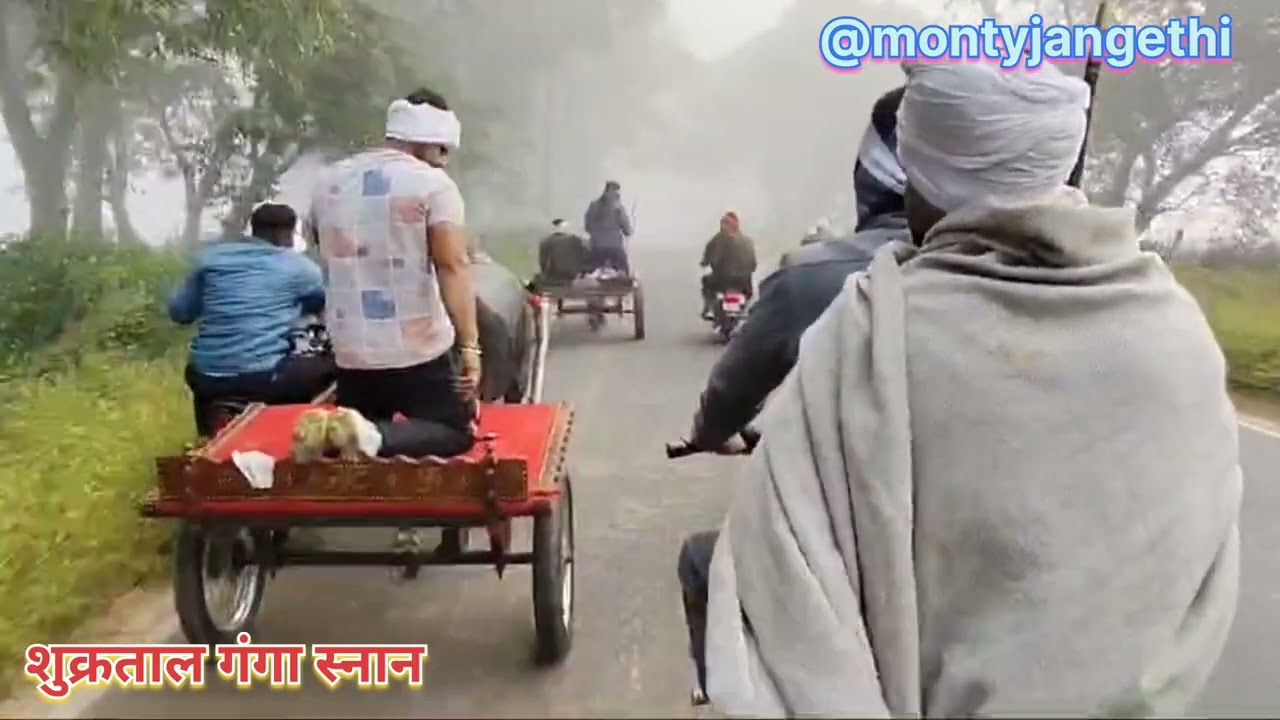 शुक्रताल गंगा स्नान घमासान🎇 रेस🐂🐂 || new jhota race|| jhota race 2024||Shukartal jhota race 2024