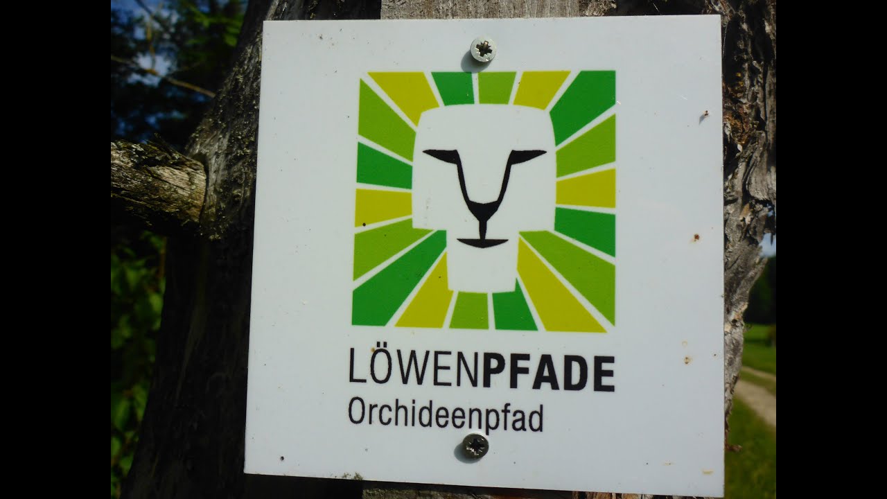 21.7.19 - Löwenpfade  - Orchideenpfad