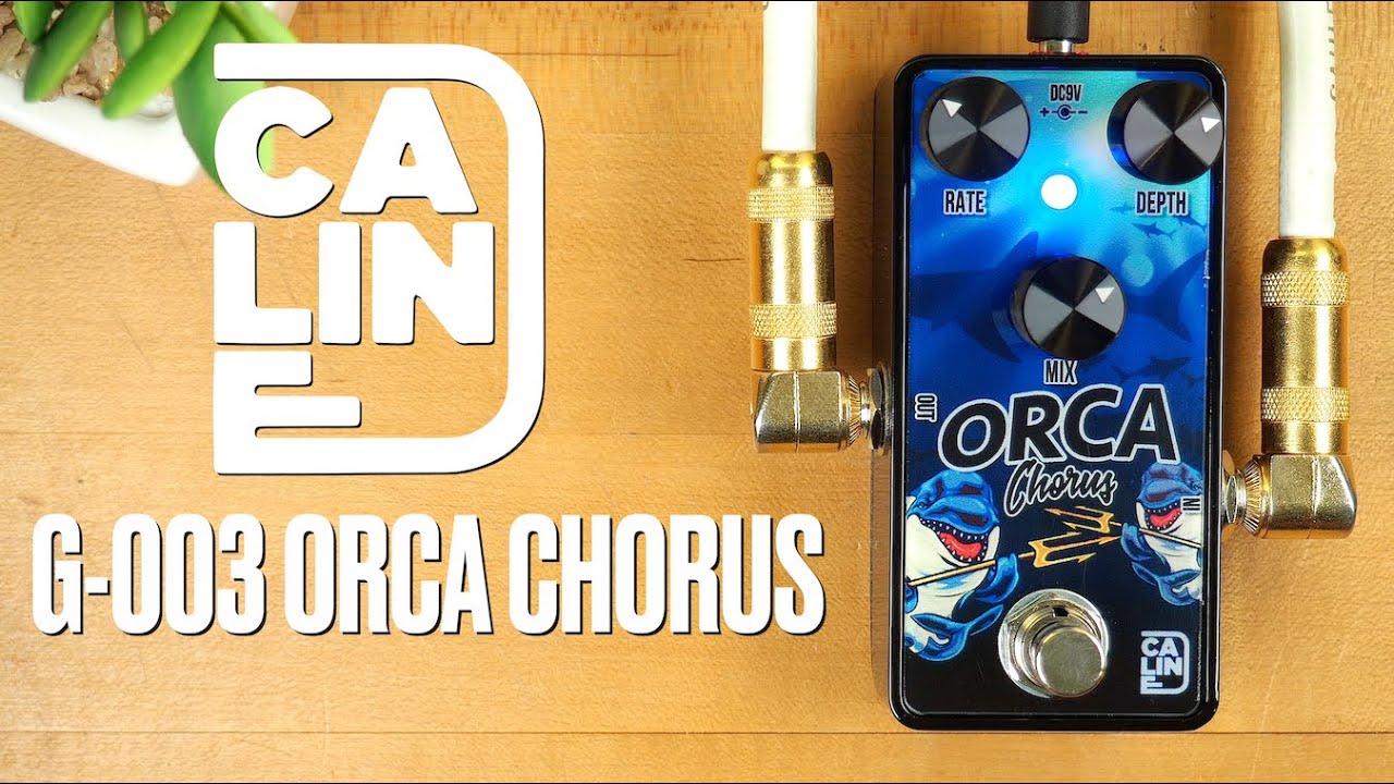 Caline G-003 Orca Chorus