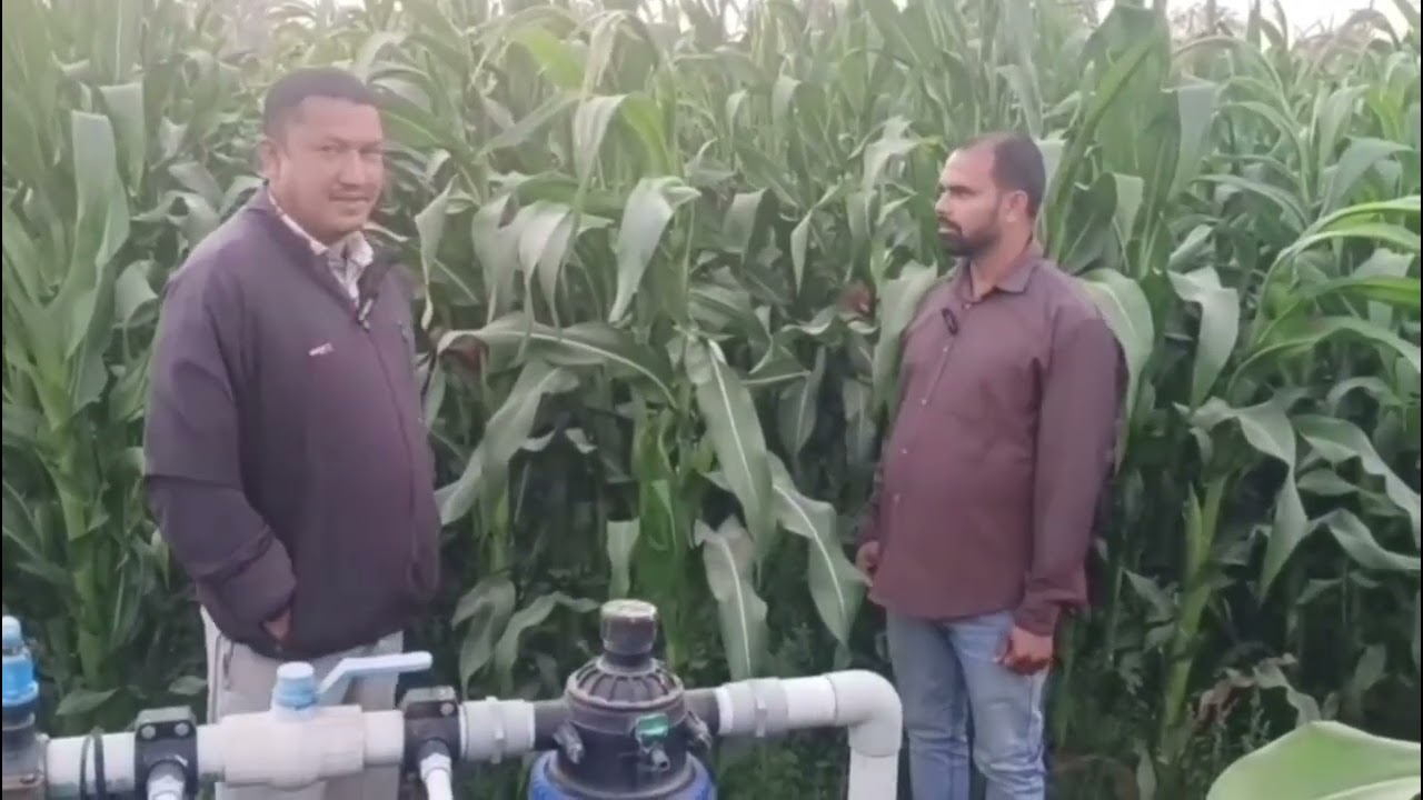 कम पानी में अधिक जगह पर मक्का 🌽का खेती #farming#agriculture #viral 