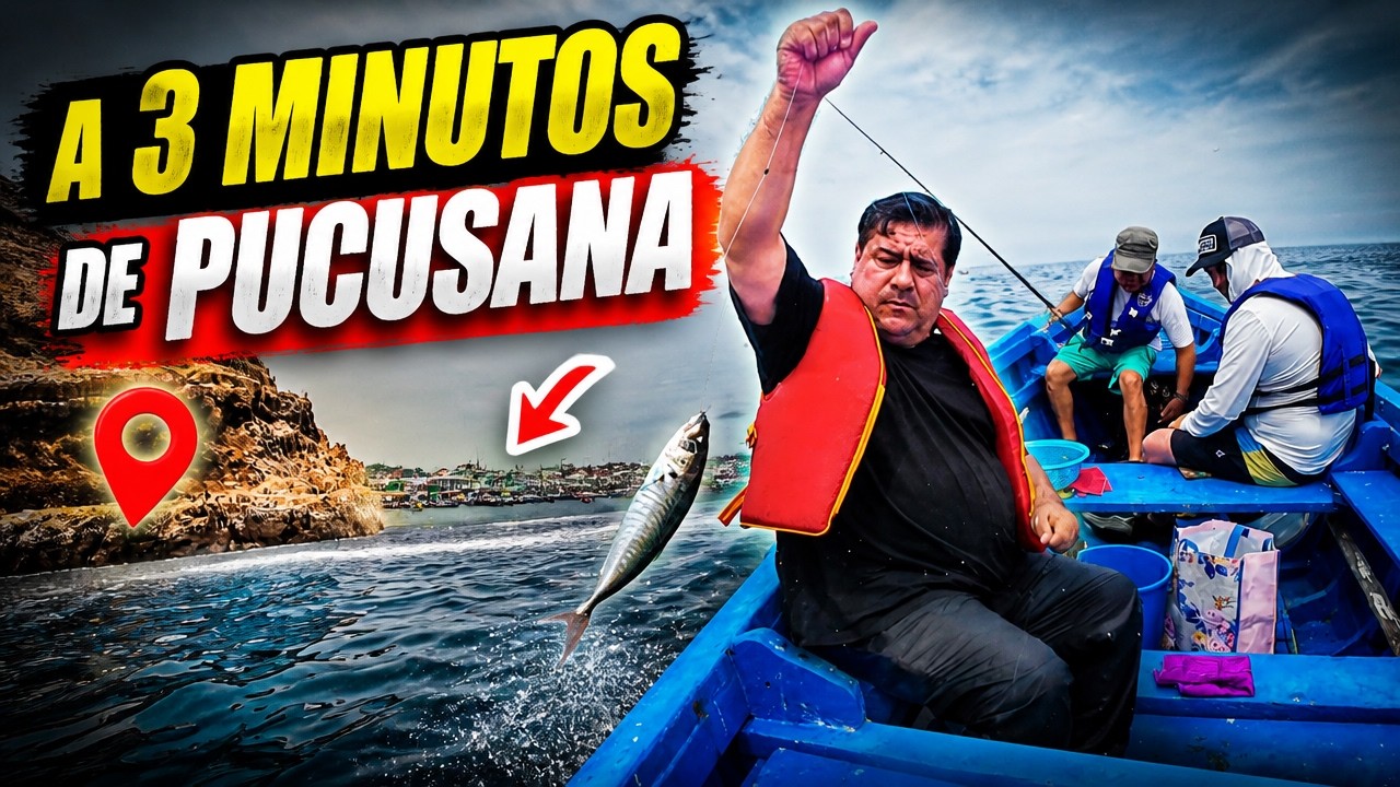ESTOS JUREL NOS SORPRENDIERON LA MAÑANA | FINAL INESPERADO | Tablita Fishing