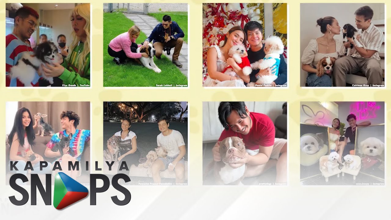 Meet the adorable furbabies of your favorite Celebrity couples | Kapamilya Snaps
