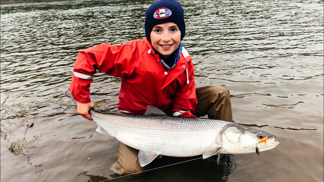 Fishing huge sheefish in Alaska!!