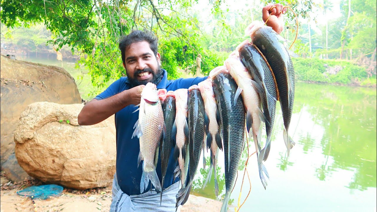 10 കട്ല മീൻ പിടിച്ച് നിർത്തി പൊരിച്ചത് | BEST CATLA FISHING VIDEO | BEST FISHING | KERALA FISHING
