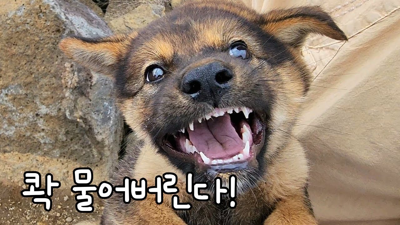 손석구씨 남매 손석희씨