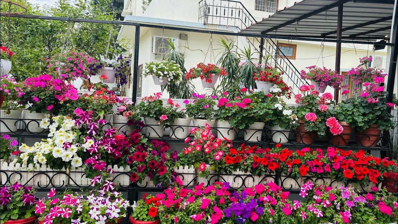 My Spring Garden Tour | मार्च  में मेरा बगीचा |