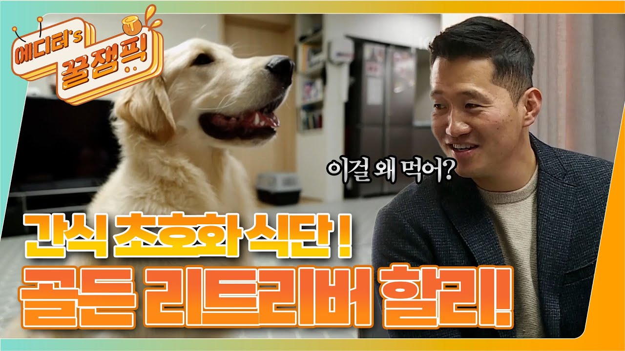 [#개는훌륭하다] '간식 먹이는게 너무 행복해요..' 엄마 보호자의 눈물..😭 [ 골든 레트리버 '할리' X 포메라니안 '하츠' ]ㅣKBS 220110 방송