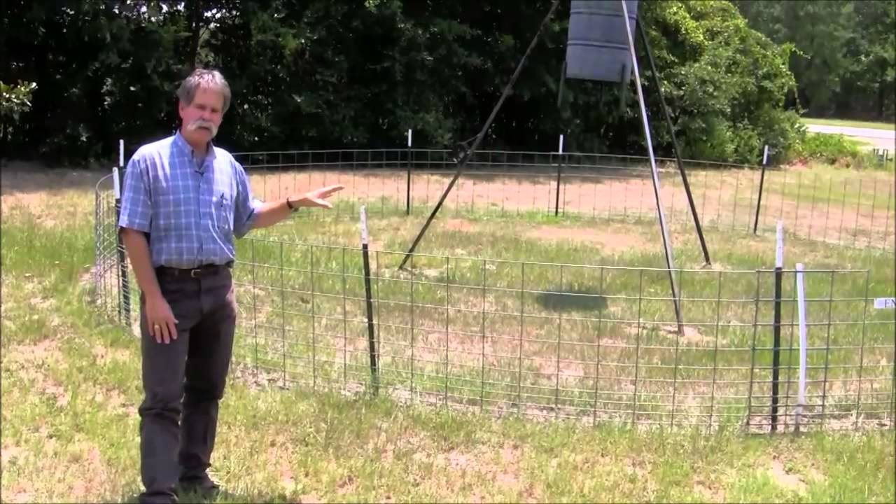 Exclusion Fencing for Feral Hogs Around Wildlife Feeders