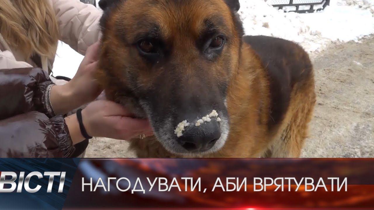 В Івано-Франківську з настанням сильних морозів волонтерки почали розвозити теплу їжу безпритульним