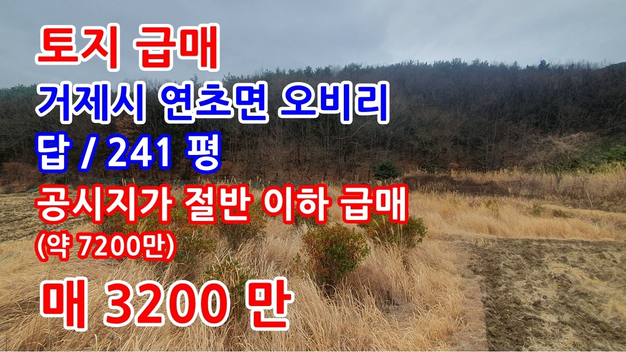 토지급매 거제시 연초면 공시지가 이하 토지매매