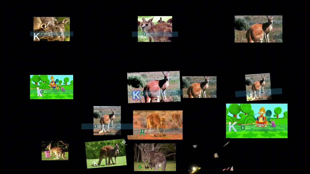 14 The ABC’s At The Zoo 2025